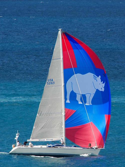 Swan 56 White Rhino, chartered by Steve Cuchiarro © Elaine Miller